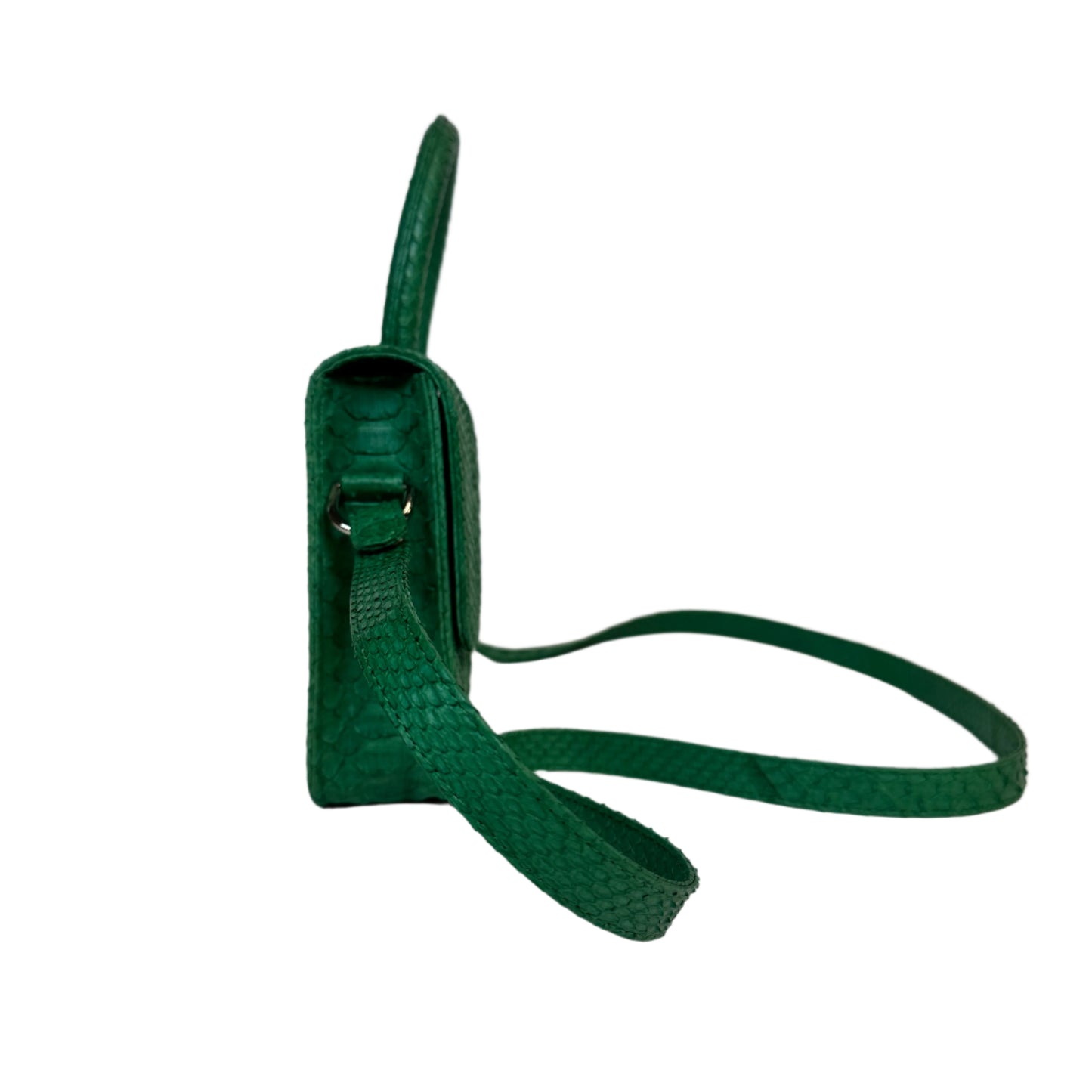 Itsy Python green bag