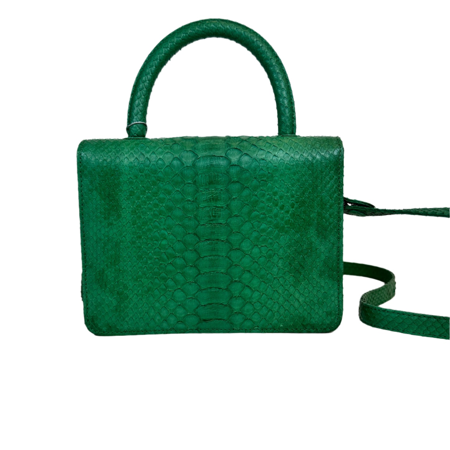 Itsy Python green bag