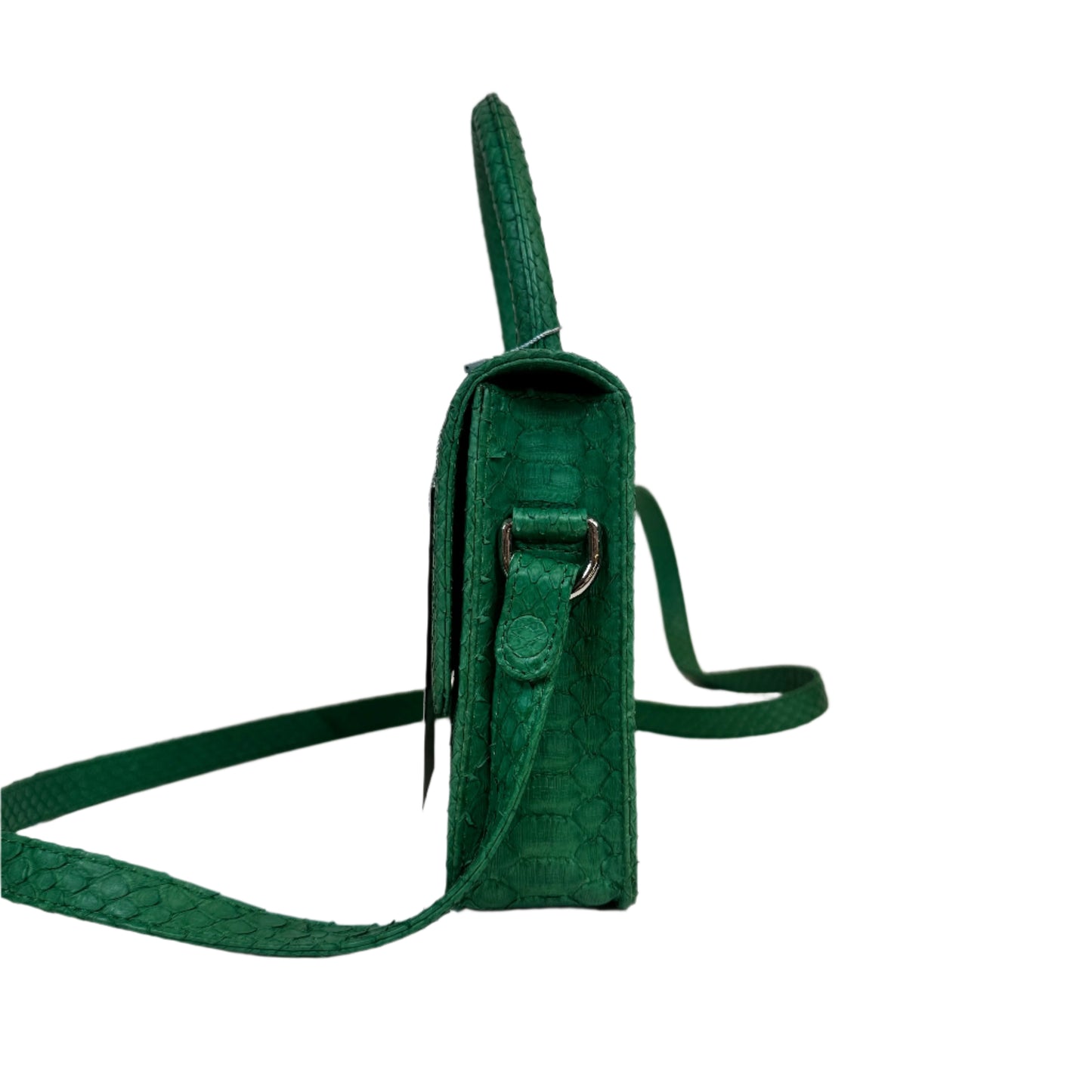 Itsy Python green bag