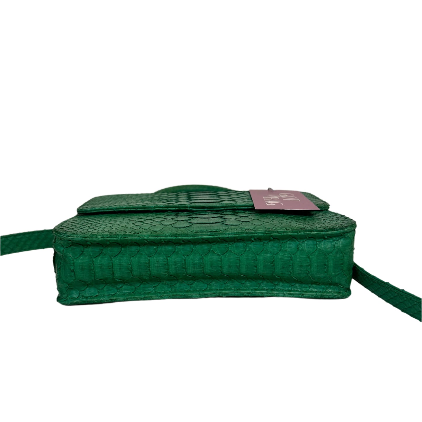 Itsy Python green bag