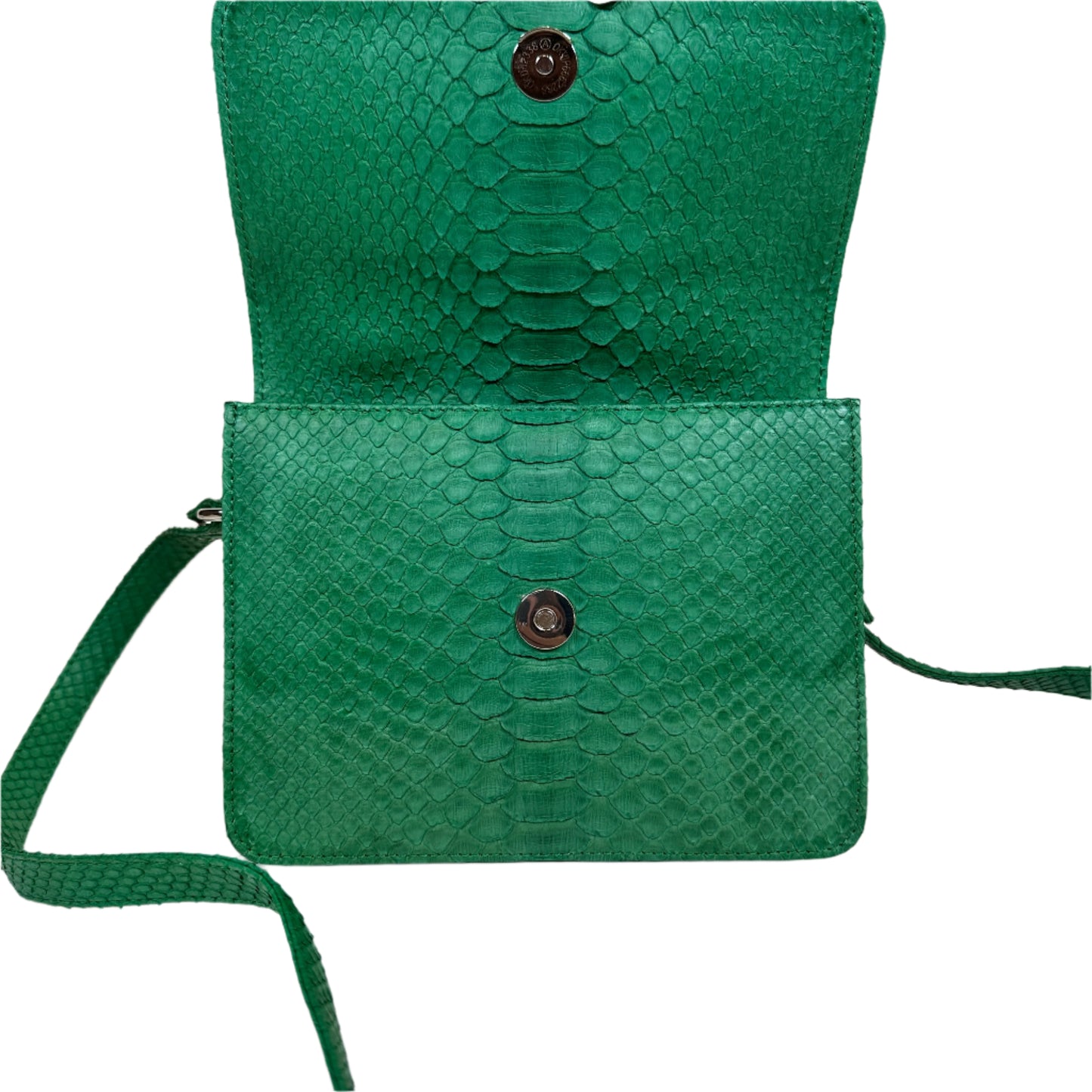 Itsy Python green bag