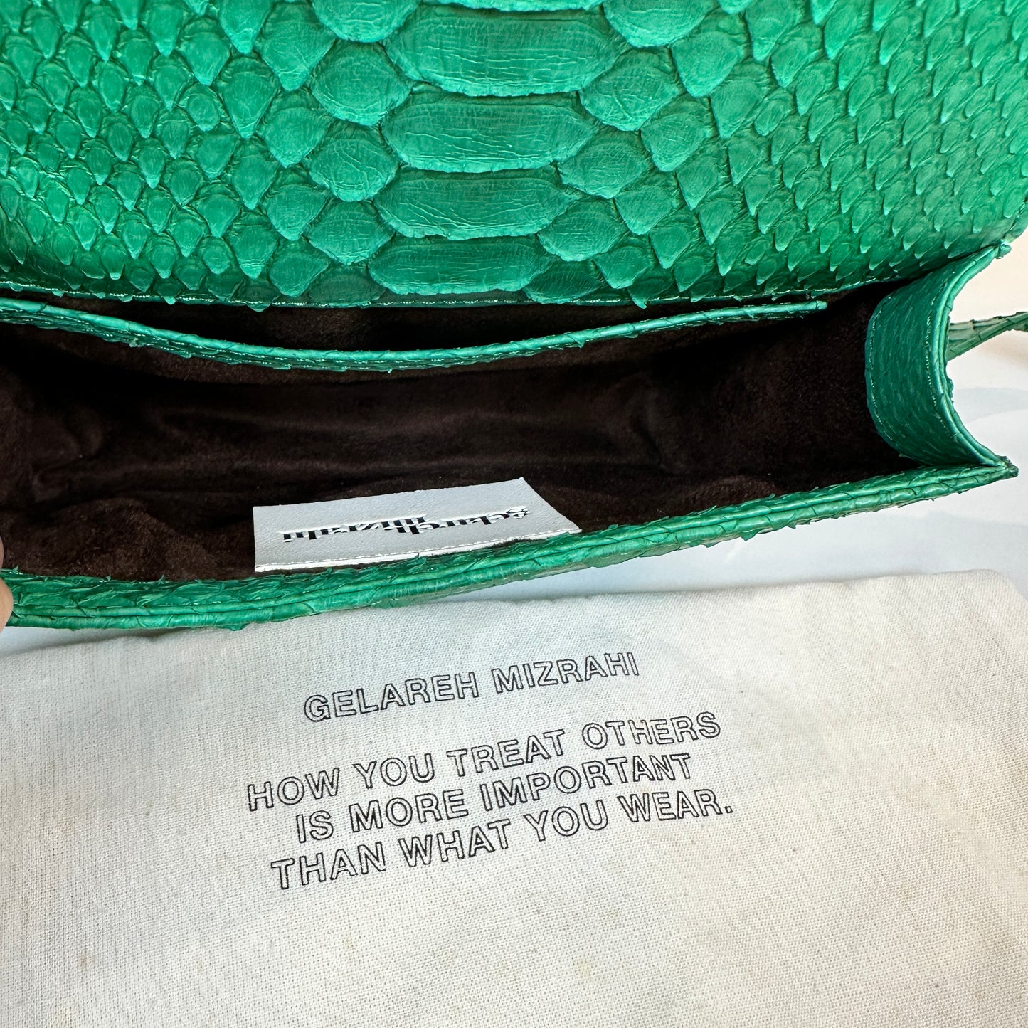 Itsy Python green bag