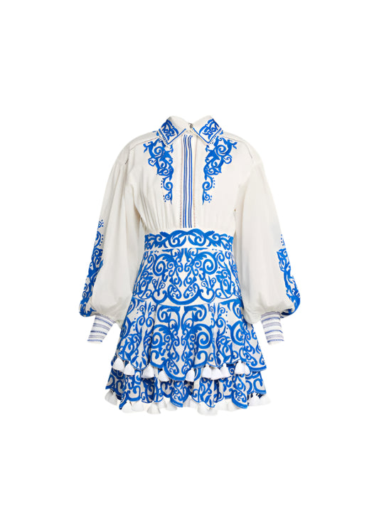 Alice and Olivia Embroidered mini shirt dress 2
