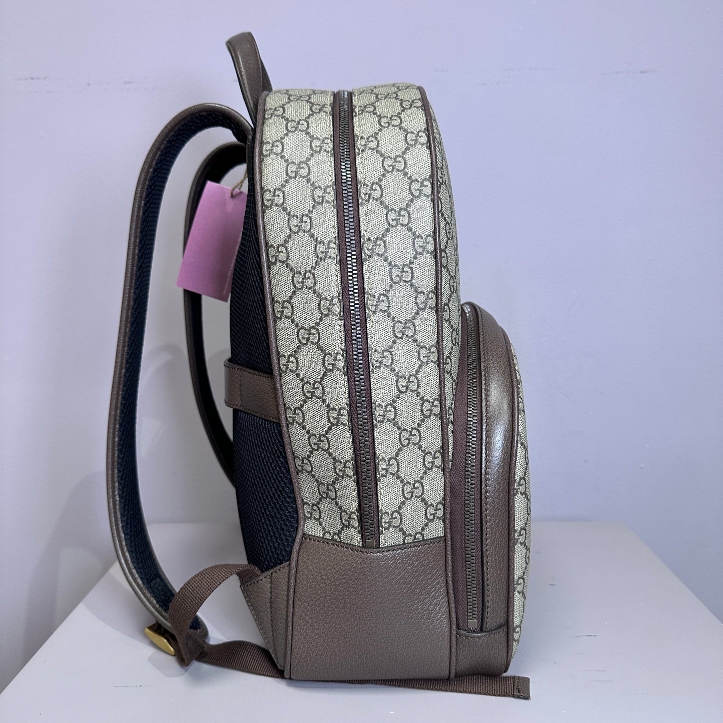 Gucci Ophidia Backpack Supreme Canvas