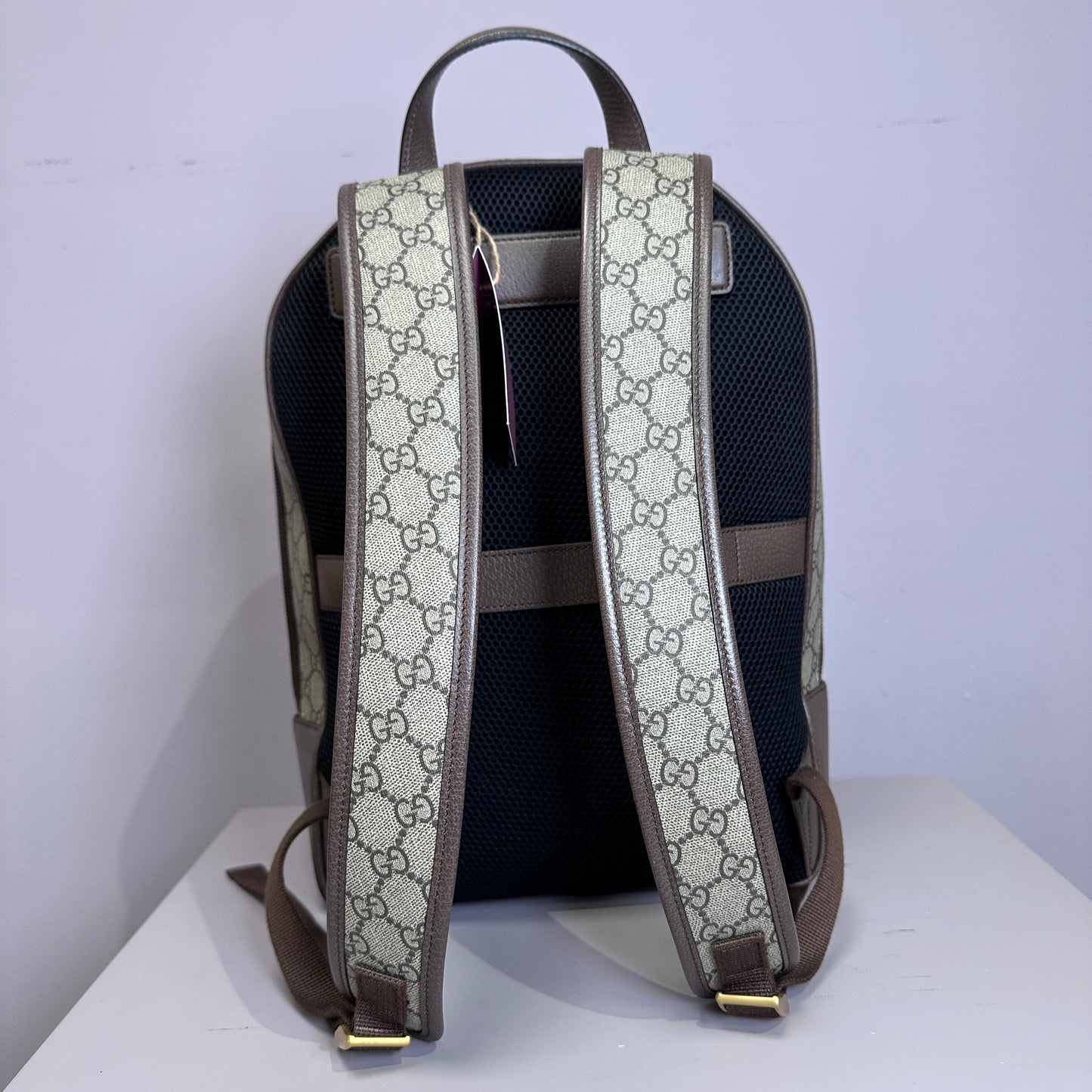 Gucci Ophidia Backpack Supreme Canvas