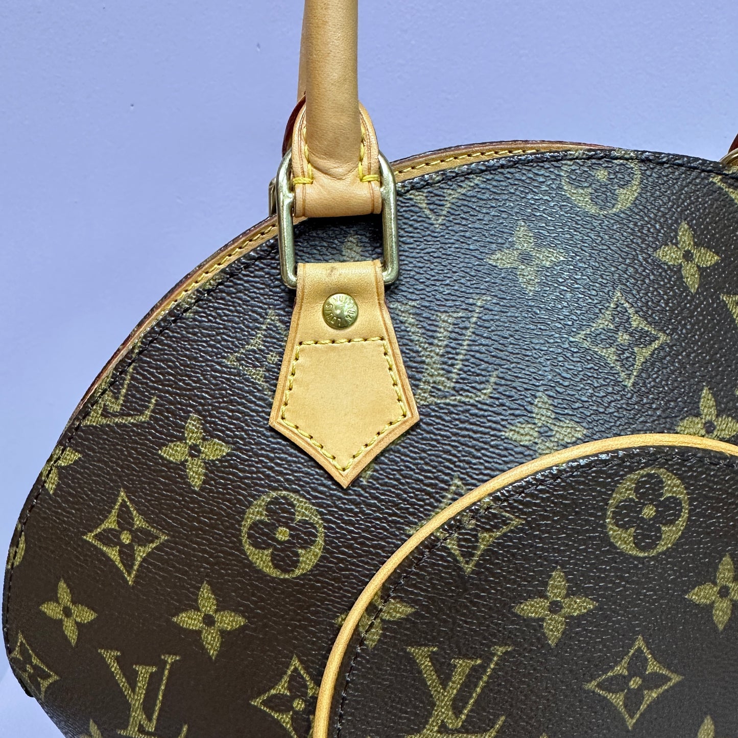 Ellipse Bag