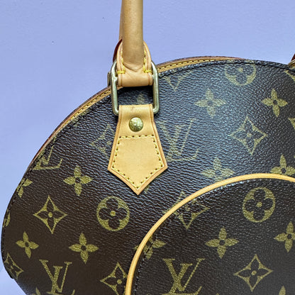 Ellipse Bag