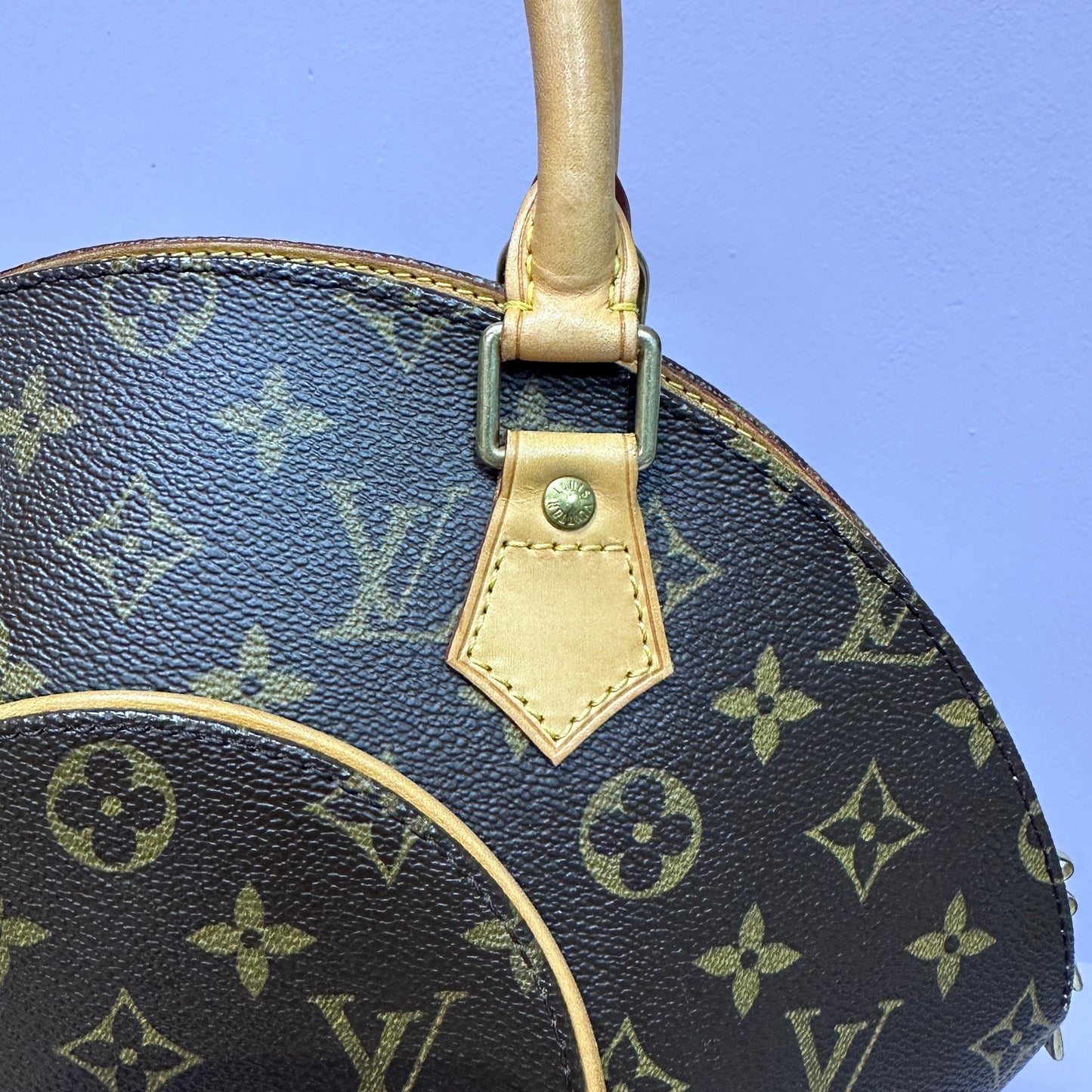 Ellipse Bag