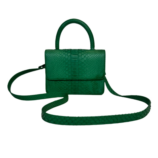 Itsy Python green bag